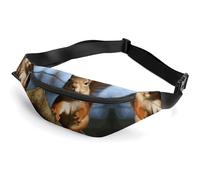 Bauchtasche mit Eichhörnchen-Motiv, lustige Tier-Gürteltasche für Damen, Herren, Bauchtasche, Bauchtasche, Bauchtasche, kleine Bauchtaschen für Damen, Stil, 36 x 15 cm, Stil:, 36*15cm