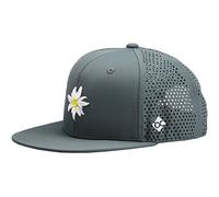 Bavarian Caps Edelweiß Flat Cap, grau, ONE Size