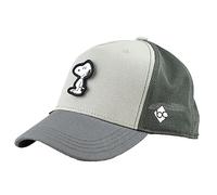 Bavarian Caps Peanuts Transformer Curved Cap (Größe ONE SIZE, grau)