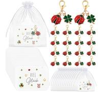 BBTO 18 Set Glücksbringer Enthalten 18 Silvester Schlüsselanhänger Kleeblatt Marienkäfer Anhänger 18 Viel Glück Karten 18 Organzabeutel Klein Prüfung Abschiedsgeschenk für Neujahr Weihnachten