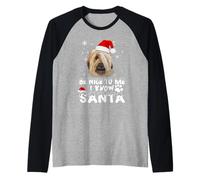 Be Nice to Me I Know Santa Briard Dog Christmas Xmas Raglan