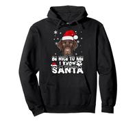 Be Nice to Me I Know Santa Labrador Retriever Dog Christmas Pullover Hoodie