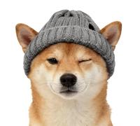 Beanie Hat - Wool, 14.17-19.68in Head Cover Knit Cat Hat Warm Winter Cap | Soft & Pet Hats Cute Outdoor Wear, Dog & Cat Winter Headwear for Walking, Camping, Travel, Parties