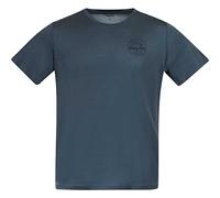 Bergans Graphic Wool Tee