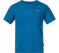 Bergans Herren Rabot Emblem Wool T-Shirt (Größe M, blau)