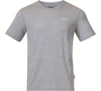 Bergans Herren Rabot Emblem Wool T-Shirt (Größe XXL, grau)