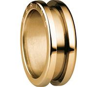 Bering Damen-Ring arctic symphony Außenring Edelstahl teilvergoldet Gr. 54 (17.2) - 520-20-73