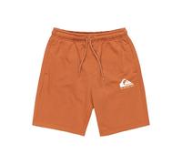 Bermudas QUIKSILVER "Easy Day", Herren, Gr. 16, bran, 55% Baumwolle, 45% Polyester, Hosen Bermudas (21725529-16)