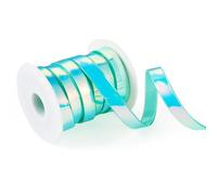 Bestewelry 5M Silikonband Regenbogen PVC Band 12mm Breit Holografisch Schillerndes Band für DIY Bastelbedarf Armband Lanyard Keychain Herstellung, Grün