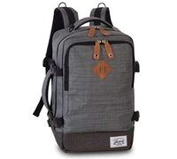 Worldpack Cabin Pro Daypack 40 cm Laptopfach grau