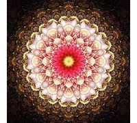 Better Selection 5D DIY Diamant-Gemälde [Full Diamond] Strass-Bilder von Kristallen Stickerei, Tier-Streetkunst, Heimdekoration, 30x30 cm, Lotus Mandala Indische