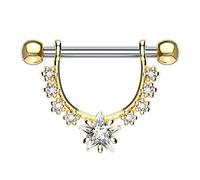 beyoutifulthings Brustwarzen-Piercing GROSSER Stern Intim-Piercing Brust-Piercing Edelstahl Silber Gold Roségold Clear Aqua Stab 1,6mm 12mm