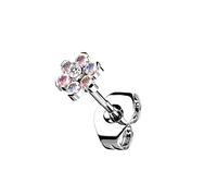 beyoutifulthings Push-In Damen Ohr-Stecker Titan-ium Grad 23 Zirkonia Blume Ohr-ringe Ohringe Silber Regenbogen Clear 5-mm