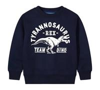 BIBOKAOKE Jungen Sweatshirt Mit Dinosaurier Aufdruck - Lässiges Langarmshirt Mit Rundhals | Bequemer Pullover Für Freizeit Und Schule