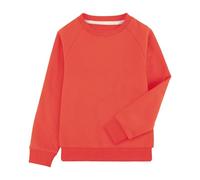 BIG ELEPHANT Sweatshirt Jungen - Rundhals Pullover Kinder Jungen Langarmshirt Leicht & Warm für Schule & Freizeit