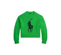Polo Ralph Lauren Regular Fit Strickpullover aus reiner Baumwolle in Gruen, Größe S