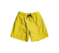 Billabong All Day Heritage Layback - Boardshorts für Jungen 8-16 Blau