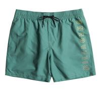Billabong ALL DAY HERITAGE LB Herren Badehose, grün, größe S