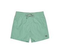 BILLABONG Herren Badeshort All Day Layback 16 hellgrün | XL