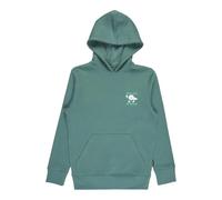 Hoodie BILLABONG "Foundation", Jungen, Gr. XL, grün (sagebrush), Obermaterial: 55% Walkfrottier, 25% Walkfrottier, 20% Microfaser;, Sweatshirts Hoodie (33420513-XL) sagebrush