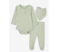 Bio-Kollektion: Baby-Set aus Langarmbody, Leggings & Halstuch salbeigrün Gr. 74 von vertbaudet