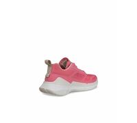 - Biom 2.2 Rosa - 13-011-7-29-01 38