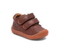 Bisgaard Hale V brandy 23