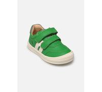 Bisgaard - Rob - grün - Sneaker - Größe 23