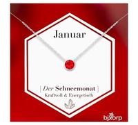 Bixorp Geburtsstein Halskette mit Zirkonia-Anhänger Januar - Edelstahlkette mit rundem Zirkonia-Kristall - Januar/Granat - Silber