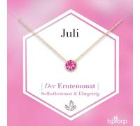 Bixorp Geburtsstein Halskette mit Zirkonia-Anhänger Juli - Edelstahlkette mit rundem Zirkonia-Kristall - Juli/Rubin - Gold