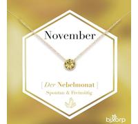 Bixorp Geburtsstein Halskette mit Zirkonia-Anhänger November - Edelstahlkette mit rundem Zirkonia-Kristall - November/Citrin - Gold