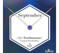 Bixorp Geburtsstein Halskette mit Zirkonia-Anhänger September - Edelstahlkette mit rundem Zirkonia-Kristall - September/Saphir - Gold
