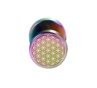 BlackAmazement 316L Edelstahl Fake Plug Ohrstecker Blume des Lebens Ornament 10mm schwarz Rose Gold blau Regenbogen Silber Herren Damen (Regenbogen)