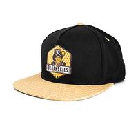 Blackskies Good Things Inc. Snapback Cap | Damen Herren Baseball Mütze Kappe Basecap Schwarz Wabe Gold Honig Bär Biene