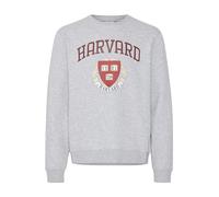 Rundhalspullover BLEND "Sweatshirt BHSweatshirt", Herren, Gr. M, grau (stone mix), Obermaterial: 60% Baumwolle CO. 40% Polyester PES., bedruckt, casual, Langarm, Pullover (44647266-M) stone mix