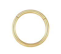 BLESSMYLOVE 1.6mm 12mm Gold Nasenring Hoop 316L Chirurgenstahl Knorpelohrring Septum Clicker Ring Edelstahl Klappbarer Segmentring Lippenring Conch Daith Helix Rook Tragus Snug Body Piercing Schmuck