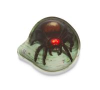 Blinkie-Kletties-mehrfarbig