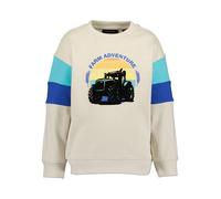 Sweatshirt BLUE SEVEN, Jungen, Gr. 122, kiesel, Sweatware, Obermaterial: 100% Baumwolle, bedruckt, Basic normal, Rundhals, Rippbündchen, Sweatshirts Sweatshirt (23281436-122) kiesel