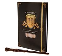 BLUE SKY Unisex Kinder Set Harry Potter Hogwarts - Notizbuch und Stift Zauberstab, Bunt