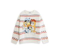 BlueY Unisex-Weihnachtspullover mit Heeler-Motiven in Creme | Langärmliger Rundhalspullover, Bingo, Bandit und Chilli | Festliche Kleidung für Erwachsene | Festliche Fanartikel