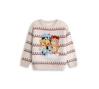 BlueY Weihnachtspullover für Kinder (Unisex) mit Heeler-Motiven in Creme, Bingo, Bandit und Chilli | Klassischer Langarm-Rundhalsausschnitt | Festliche Weihnachtskleidung für Kinder