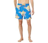 Hurley Cannonball Volley 17´´ Badeshorts S Santiago