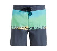 Boardshorts QUIKSILVER "Everyday 16"", Herren, Gr. 28(XS), grün (summer grün wordblock), 100% Polyester, Hosen (36308658-28) summer grün wordblock