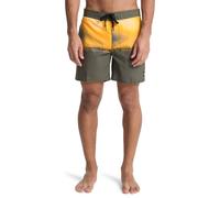 Boardshorts QUIKSILVER "Everyday 16", Herren, Gr. 38(XXL), grape leaf wordblock, Obermaterial: 100% Microfaser;, Hosen (65869509-38) grape leaf wordblock
