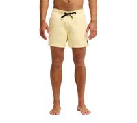 Boardshorts QUIKSILVER "Everyday Solid Volley 15", Herren, Gr. L, beige (straw), Obermaterial: 100% Polyester;, Hosen (98549458-L) straw