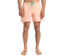 Quiksilver - Everyday Solid Volley 15" Boardshorts - Mann