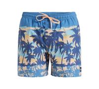 Quiksilver - Everyday Straight Volley 15 - Boardshorts, Gr. M, blau (CoronetBlueTropicamo)