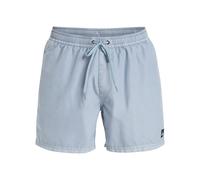 Boardshorts QUIKSILVER "Everyday Surfwash Volley 15"", Herren, Gr. XL, blau (ashley blau), 100% Polyester, Hosen (25763108-XL) ashley blau