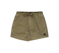 Boardshorts QUIKSILVER "Everyday Surfwash Volley 15", Herren, Gr. XS, grün (aloe), Obermaterial: 100% Microfaser;, Hosen Boardshorts (71767742-XS)