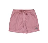 Boardshorts QUIKSILVER "Everyday Surfwash Volley 15"", Herren, Gr. XXL, lila, 100% Polyester, Hosen (84297419-XXL) lila